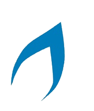 Blue flame logo representing Safeheat's reliable gas boiler service and repair in Torquay.